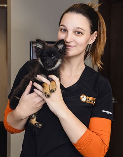 A smiling woman in a black and orange shirt holds a small, fluffy black and tan puppy indoors. The shirt has a "PAWS Veterinary" logo on it.