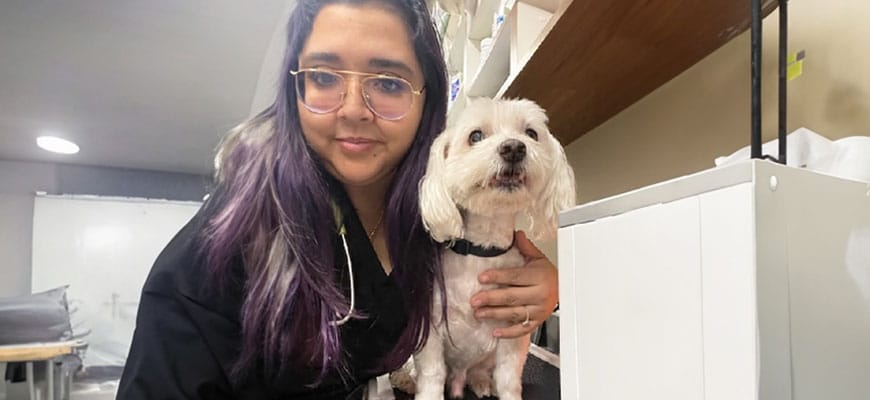 A woman with glasses and long hair, dressed in a black top, poses with a small white dog. Inside the cozy room, she gently holds the dog on a flat surface, exuding the calm confidence of a veterinarian.