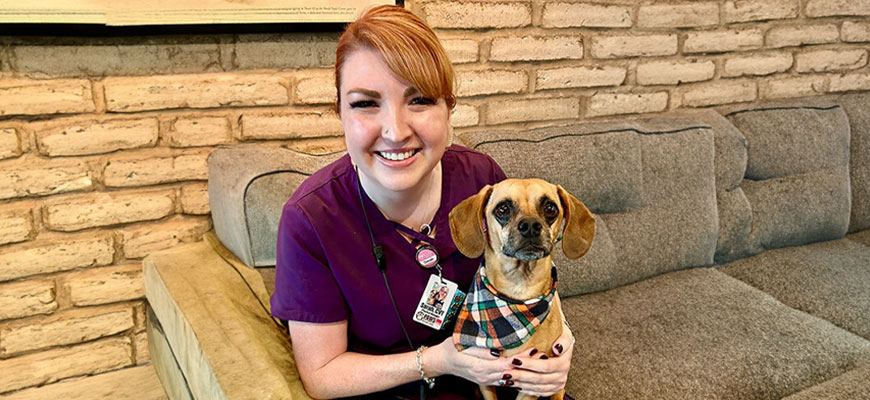 A smiling veterinarian in a purple uniform sits on a couch, holding a small dog wearing a plaid bandana. The background features a brick wall.