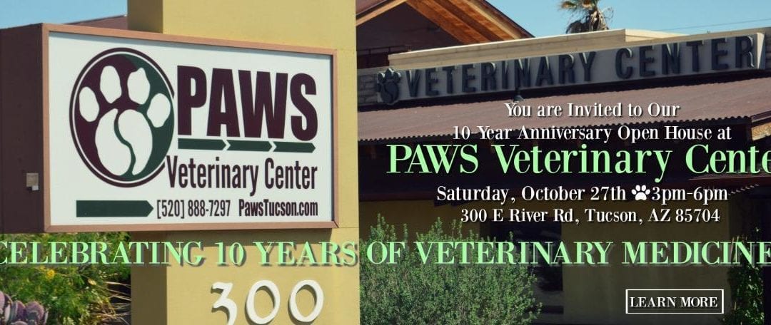 Join us at the PAWS Veterinary Center for our 10-Year Anniversary Open House! Celebrate with us on Saturday, October 27th, from 3pm-6pm at 300 E River Rd, Tucson, AZ 85704. Look for signs with green and beige backgrounds showcasing our celebration message.