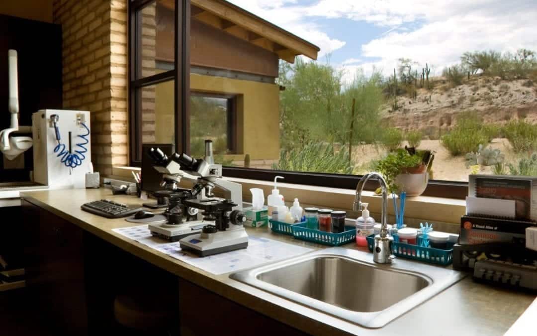 A veterinary laboratory with a microscope, computer, and various bottles on a countertop near a sink. The room's large windows offer views of a desert landscape dotted with cacti and a modern building in the background.