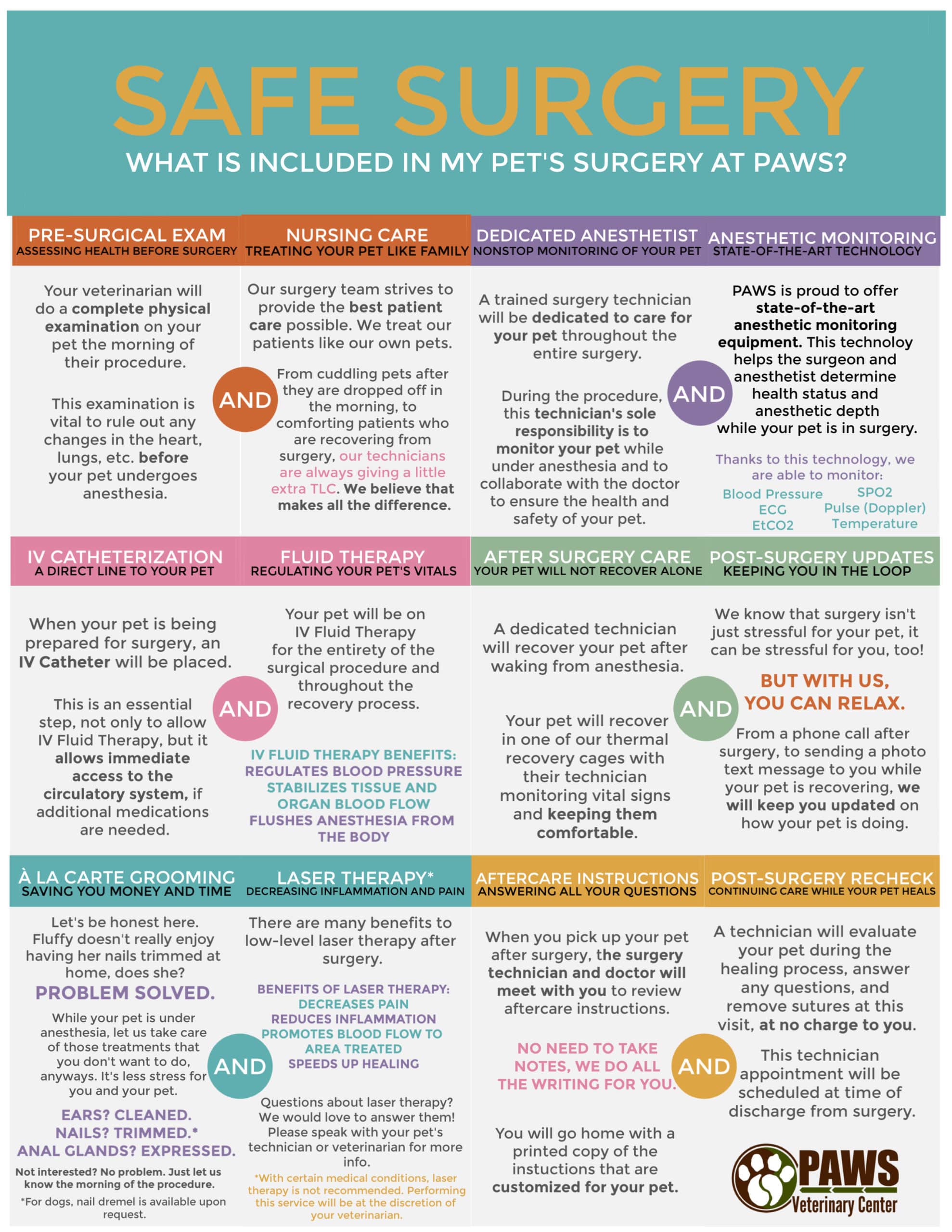 Infographic titled "Safe Surgery" by the PAWS veterinary team, detailing components of pet surgery. Sections cover the veterinarian's pre-surgical exam, nursing care, anesthetist role, vet-guided IV catheterization, fluid therapy, monitoring, and post-surgery recovery. Colorful text and icons enhance clarity.