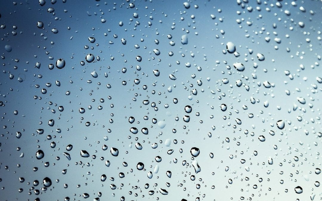Raindrops on a glass surface create a pattern against a blue-grey sky, akin to how a vet observes details in nature. The droplets vary in size, suggesting gentle rainfall. The blurred background emphasizes the texture and clarity of each water droplet, much like a veterinarian's keen eye for detail.