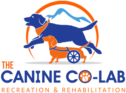 Logo for The Canine Co-Lab, showing two dogs—one running and one in a wheelchair—with a mountain in the background. Text below reads "Recreation & Rehabilitation.
